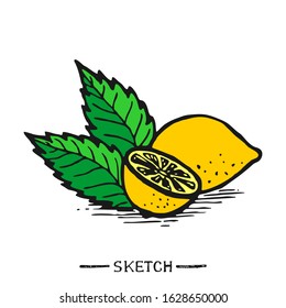 Lemon and leaves on a white background in vector