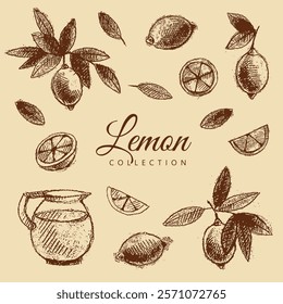 Limão com folhas, limões cortados e jarro com limonada. Gráficos castanho e bege vintage, desenhados à mão, vetor. Design antigo.