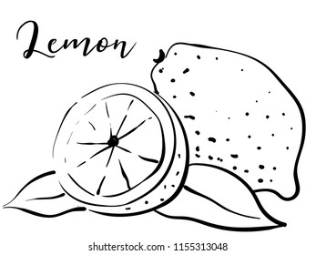 Lemon with leaves. Vector black and white illustration. A sketch on a white background. Image of a lemon on a white background. Citrus