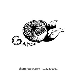 Lemon with leaves and zest sketch ink vector illustration