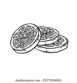 Lemon or lime cut into round slices. Ink drawing of a citrus slice. Outline illustration of fruit dessert. Vitamin healthy food ingredient. free hand contour graphics for menu, logo or label design
