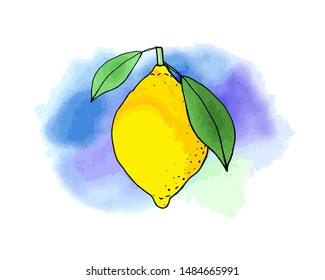 Lemon and lime fruit icons with watercolor texture. Vector stock set. Cute doodles. Summer fruit, bright citrus for lemonade and cocktail. Can be used for printed materials. Hand drawn design elements