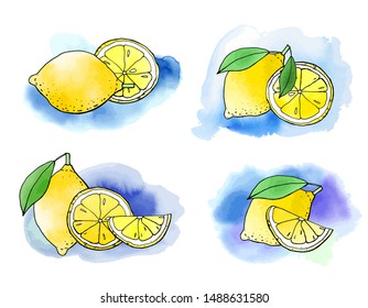 Lemon and lime fruit icons with watercolor texture. Vector stock set. Cute doodles. Summer fruit, bright citrus for lemonade and cocktail. Can be used for printed materials. Hand drawn design elements