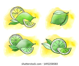 Lemon and lime fruit icons with watercolor texture. Vector stock set. Cute doodles. Summer fruit, bright citrus for lemonade and cocktail. Can be used for printed materials. Hand drawn design elements