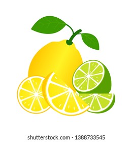 Lemon and lime fruits with green leaves on white background. Tropical fruits. vegetarian food. Vector illustration. - Vector