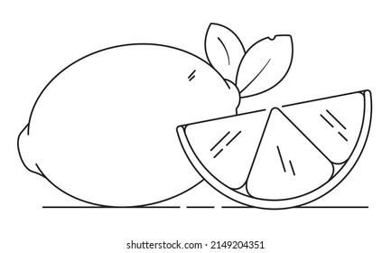 Lemon lime fruits isolate on white background. Vector illustration