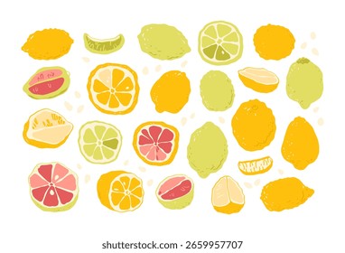 Zitrone, Limette, Grapefruit, Mandarine, Zitrone, Orange, Limonade, Farbfruchtgrafik