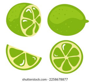 Lemon lime half fruit icon logo flat isolated slice set. Vector graphic design illustration