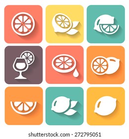 Lemon, lime icons  colored set with shadow