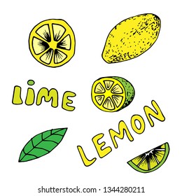 Zitronen- und Limettensymbole in handgezeichnetem Stil. Vektorgrafik