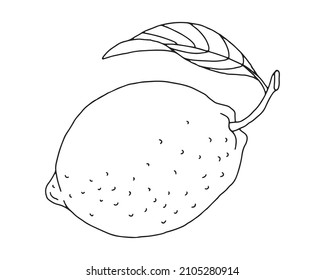 Lemon, Lime with leaf. Set of vegetables and fruits, line drawing, black outline, contour.