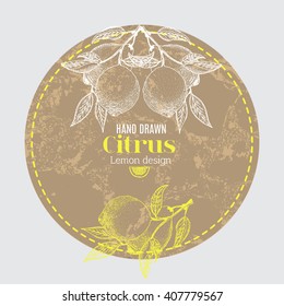 Lemon, lime and orange fresh juice label template for citrus fruit products. Vector design  for a package and packing box.