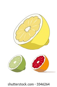 Lemon, lime and orange fruit scalable vector.