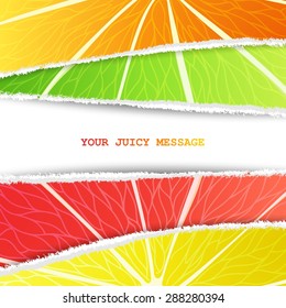 Lemon, lime, orange and grapefruit mixed background in the original torn paper version with free space for text