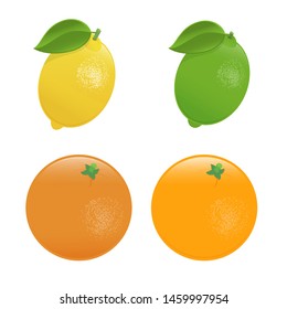 Lemon, Lime, Orange, Grapefruit. Set of forums isolated on white background.