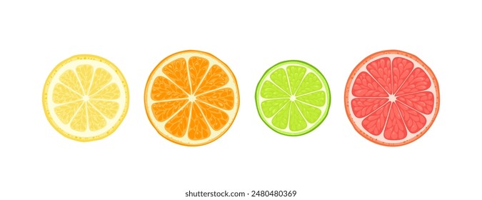 Zitrone, Limette, Orange und Grapefruitscheibe. Zitrusfrüchte eingestellt. Vektorgrafik Cartoon Illustration.