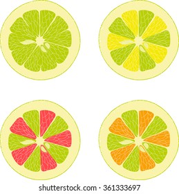 Lemon, lime, orange, pink grapefruit, collection of vector illustrations on a transparent background