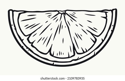 Lemon or lime slice for drinks or dishes in black and white colors, isolated vector illustration