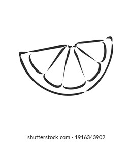 Lemon and lime and their parts isolated Hand drawn monochrome vector illustration lemon slice, vector sketch on a white background