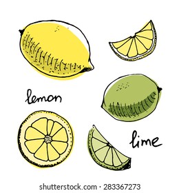 Lemon and lime and their parts isolated/Hand drawn vector illustration