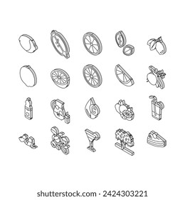 Lemon And Lime Vitamin Citrus isometric icons set. Lemon And Lime Fruit Cut And Slice, Delicious Juice And Lemonade, Pie Food And Cocktail Drink Bottle. Blossom Branch Tree Color