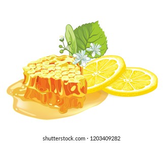 Lemon, linden and honeycomb  design concept. Vector illustration on isolated white background