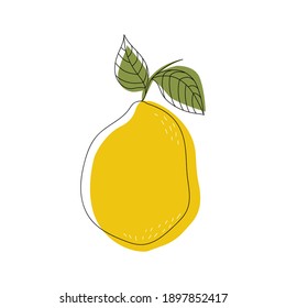 Lemon line art drawing. Simple abstract minimal style. Vector illustration