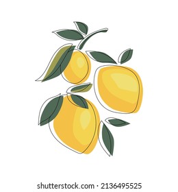 Lemon line art drawing. Simple abstract minimal style. Vector illustration