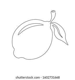 Lemon line drawing vector. Food concept. Isolated icon. Vegetable Vector Design. Design linear artwork element. Flat design. one-line object.