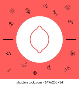 Lemon line icon. Graphic elements for your design