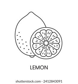 Lemon line icon in vector, citrus fruit illustration