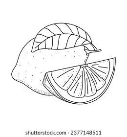 Lemon line icons vector illustration. Hand drawn outline whole citrus, lemon line icon