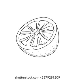 Lemon line icons vector illustration. Hand drawn outline whole citrus, lemon line icon