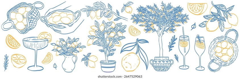 Lemon line vector drawing. Italian hand drawn doodle summer citrus fruit. Sketch lemon branch or tree in Mediterranean vase. Traditional lemonade cocktails. Amalfi or Sicily Italy coast illustration.
