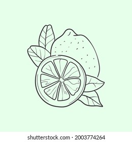 Lemon Line vector illustration. Detailed Food icon for mobile concept, print, menu, and web apps. For for restaurant, bar, vegan, healthy and organic food, market, farmers market.