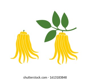 Lemon logo. Citron. Isolated lemon on white background