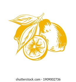 Lemon logo icon in vector isolated on white background. Hand drawn Illustration of lemon with branch and slice
