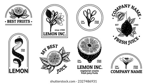Lemon logo. Vintage leaf, icon, summer nature food art, retro fruit tree, orange plants and tropical doodles, healthy juice. Vector illustration design 