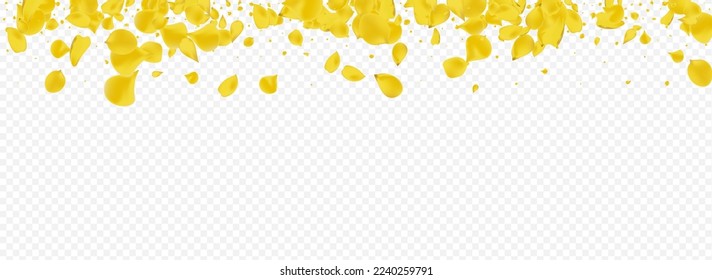 Lemon Lotus Fly Vector Panoramic Transparent Background. Falling Sakura Design. Canary Floral Fall Backdrop. Yellow Petal Blur Banner.