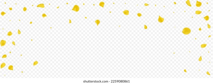 Lemon Lotus Fly Vector Panoramic Transparent Background. Blur Blossom Template. Mustard Rose Japanese Cover. Gold Petal Summer Design.