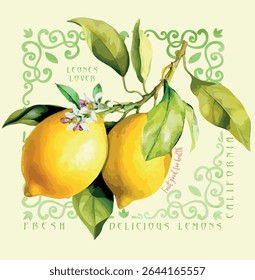 Lemon Lover watercolor hand drawn isolated ingredient nature on retro color college text graphics with grunge orange effects, girls graphic , women's print design for t-shirt design