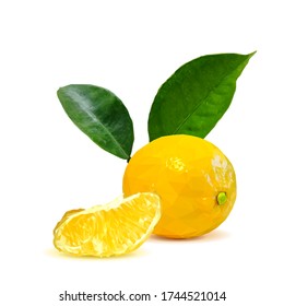 Lemon low poly. Foliage of citrus. Fresh, nutritious and tasty lemon. Symbols of fruits. Elements for label design. Lemon in triangulation technique. 