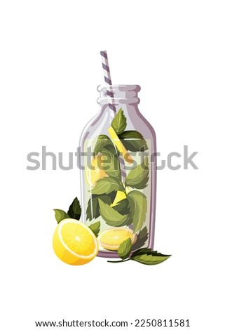 Lemon and mint drink. Healthy eating, cooking, menu, detox, cocktail concept. Isolated vector illustration.