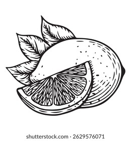 Zitrone und Minze im Stich. Handgezeichnete Illustration