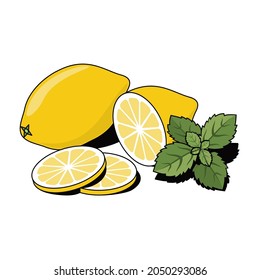 Lemon and mint. Vector 3d sketch line isometric, color icon illustration, flat style. Creative design idea and elements for infographics and website.