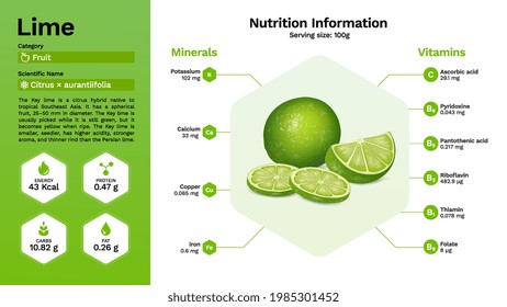 Lemon and its nutritional properties -Vector illustration