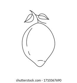 The lemon on the branch is juicy, beautiful. Doodle lemon. Vector illustration isolated on white background, hand drawn.