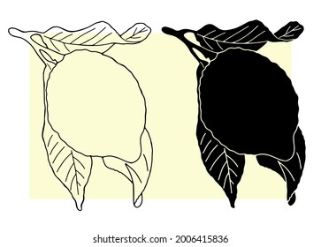 Lemon on a branch with leaves and lemon in a cut. vector