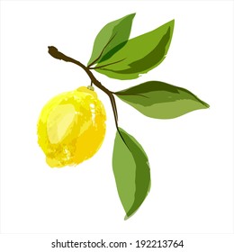 Lemon on a branch with leaves. Watercolor. Vector