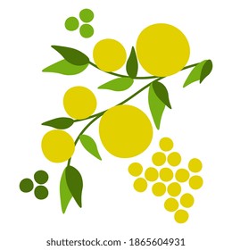 Lemon on a branch with leaves on a white background. Vector illustration.